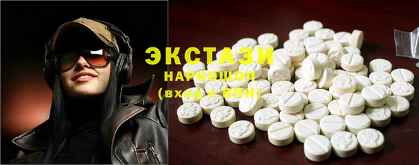 гашик Алексин