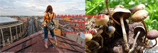 тгк Абинск
