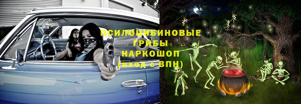 гашик Алексин