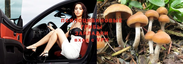 гидропоника Алзамай